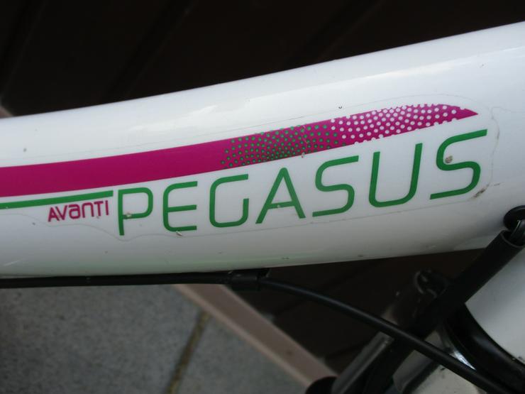 Bild 3: Kinderfahrrad 20 Zoll von Pegasus Avanti Versand auch möglich