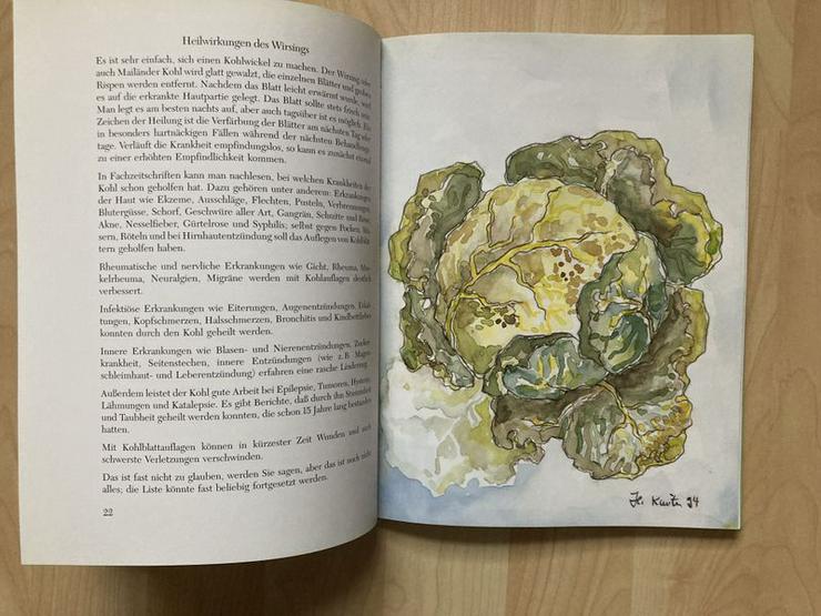 Bild 7: NEUWERTIG Gemüse-Apotheke: Alte und neue Heilrezepte