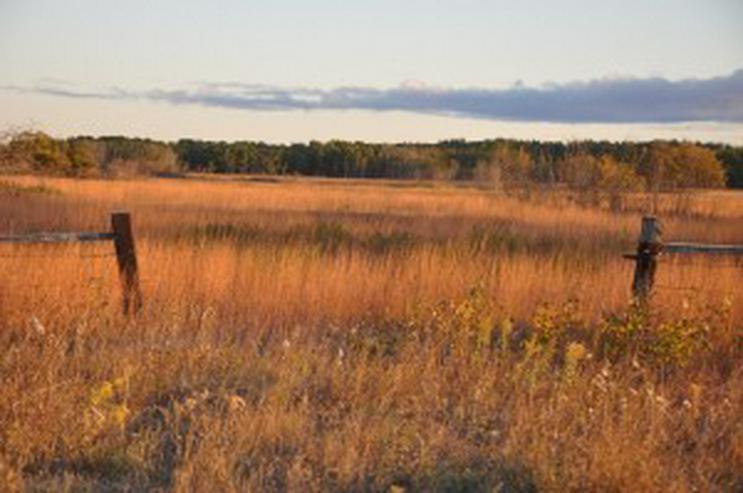 Farmland in Manitoba Canada (64.7497) Hectare zuverkaufen - Grundstück kaufen - Bild 2
