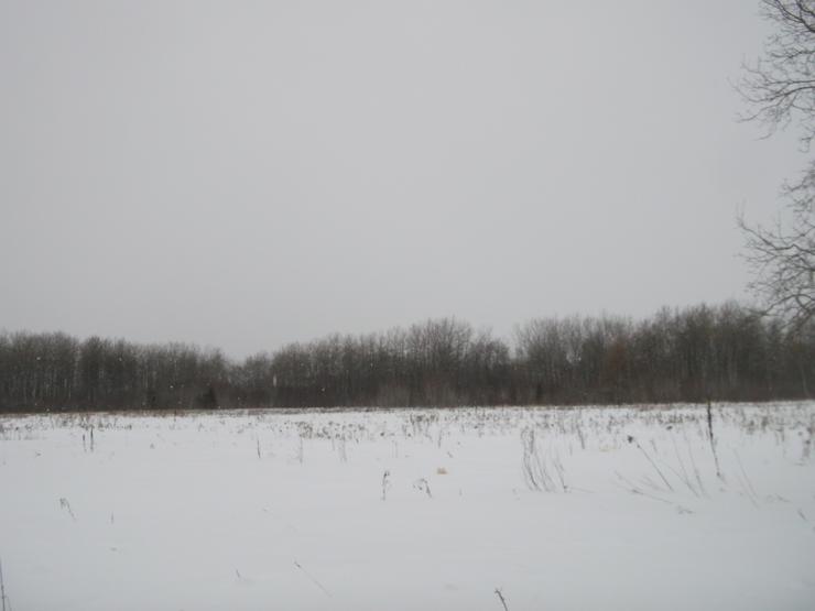 Bild 12: Farmland in Manitoba Canada (64.7497) Hectare zuverkaufen