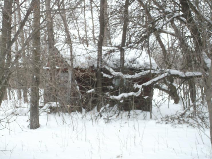 Farmland in Manitoba Canada (64.7497) Hectare zuverkaufen - Grundstück kaufen - Bild 7