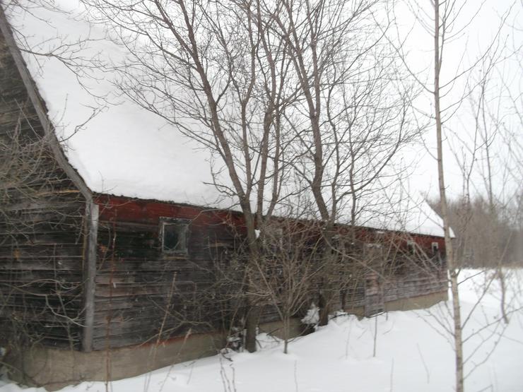 Bild 14: Farmland in Manitoba Canada (64.7497) Hectare zuverkaufen