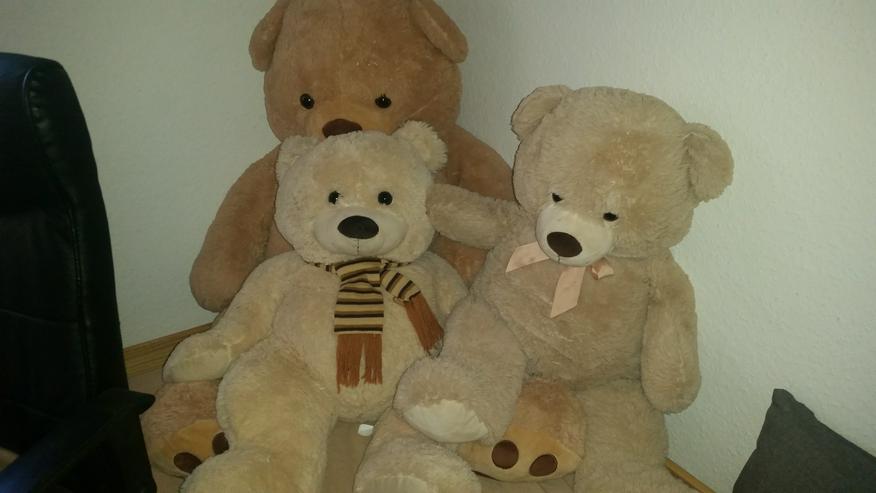 Suchen neues Zuhause - Teddybären & Kuscheltiere - Bild 2