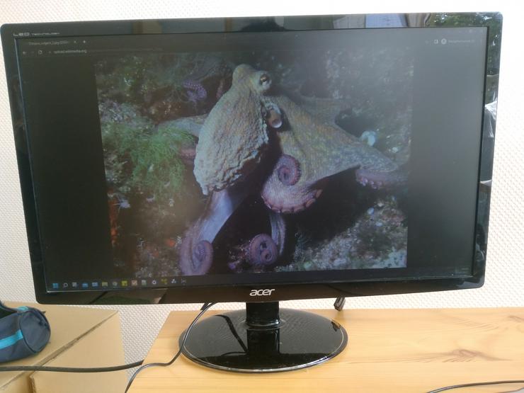 Bild 1: Monitor Acer 24 Zoll