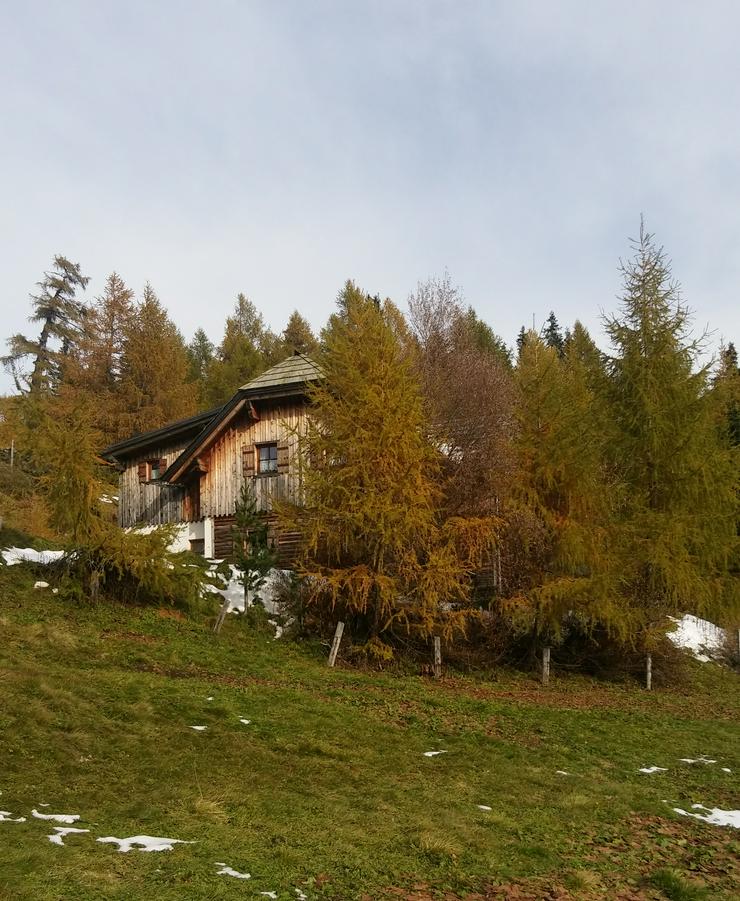 Almhütte in der Steiermark - Bezirk Murau - Lachtal