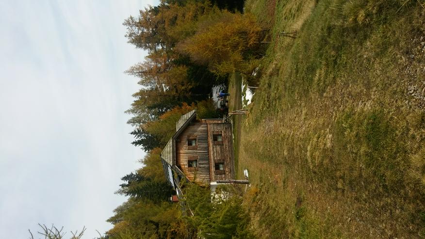 Bild 3: Almhütte in der Steiermark - Bezirk Murau - Lachtal