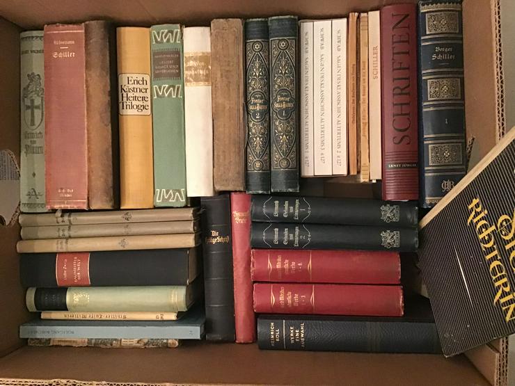 Alte Bücher gebunden 40 Stk. Tolstoi Böll, Kästner, Schiller, Hebbel usw.