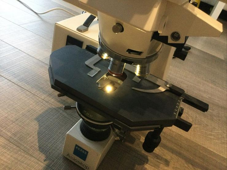 Bild 3: Zeiss Axioskop Diskussionsmikroskop