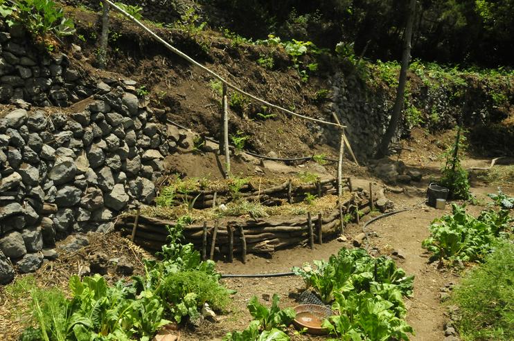 Selbstversorger-Paradies auf La Gomera in liebevolle Hände abzugeben - Bauernhäuser - Güter & Höfe - Bild 13