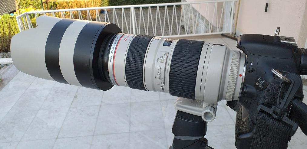 Canon 70-200 F2,8 L USM - Digitale Spiegelreflexkameras - Bild 2