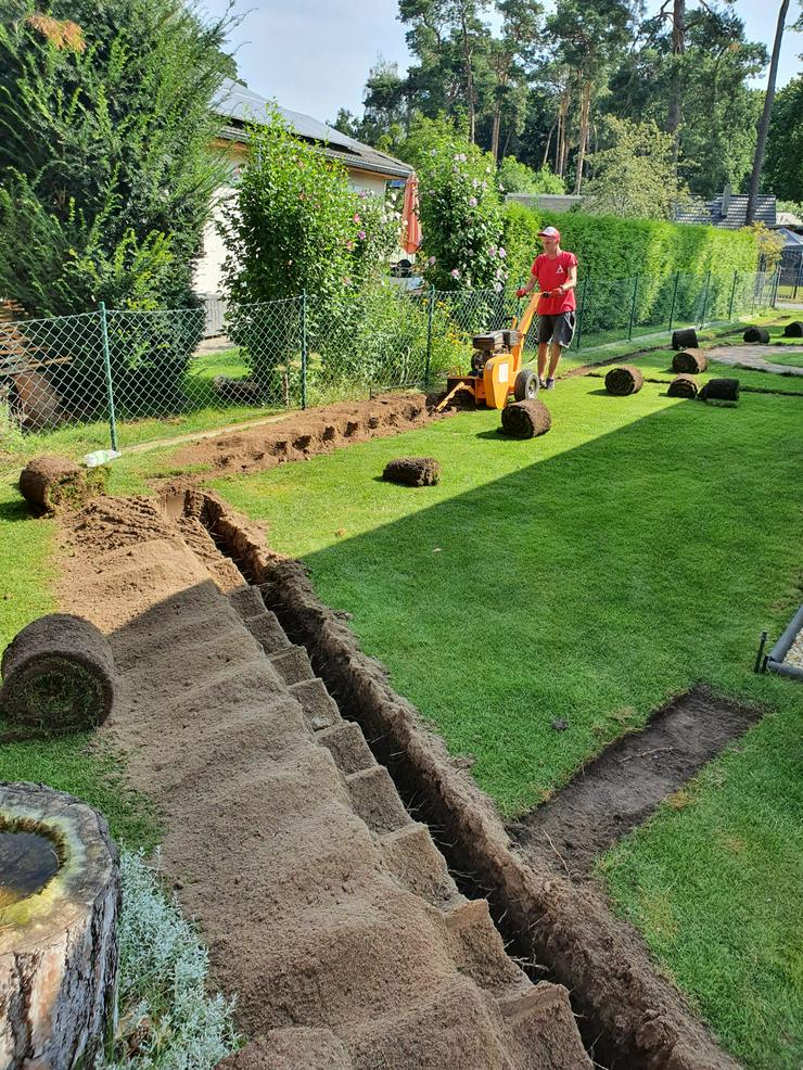 Automatische Rasenbewässerung aus Polen, Gartenbewässerung HUNTER - Sonstige Dienstleistungen - Bild 1