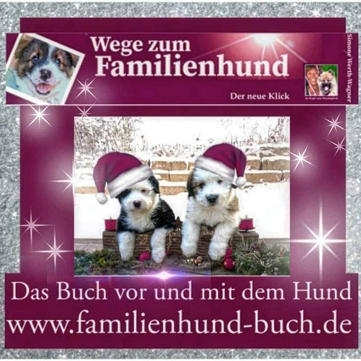 Bild 2: So wird aus dem Welpen ein Familienhund - Weihnachtsgeschenk Buchtipp