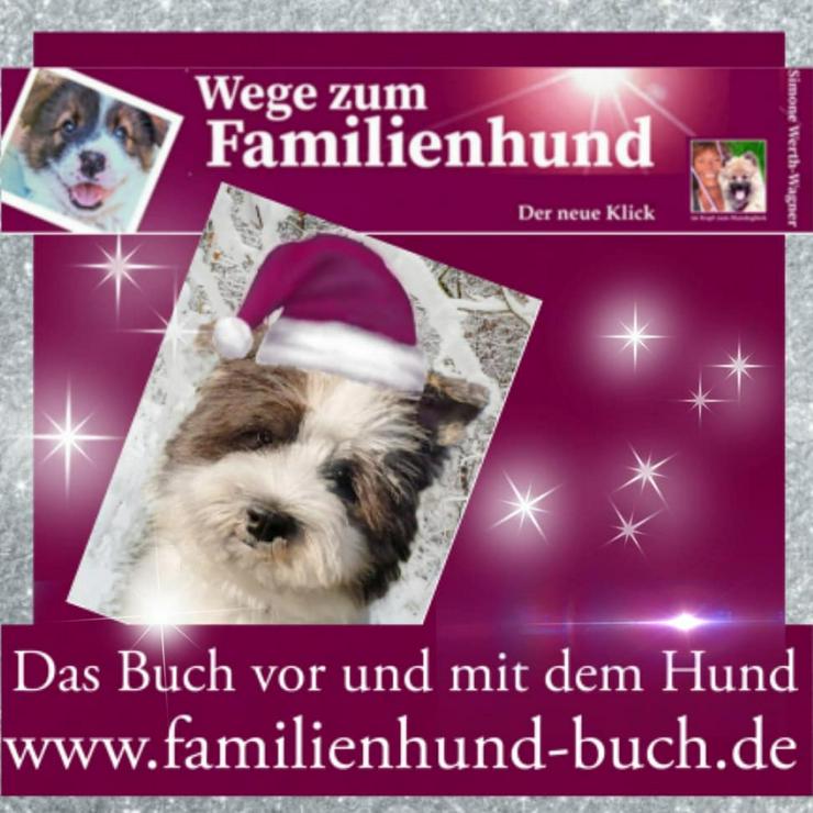 Bild 3: So wird aus dem Welpen ein Familienhund - Weihnachtsgeschenk Buchtipp