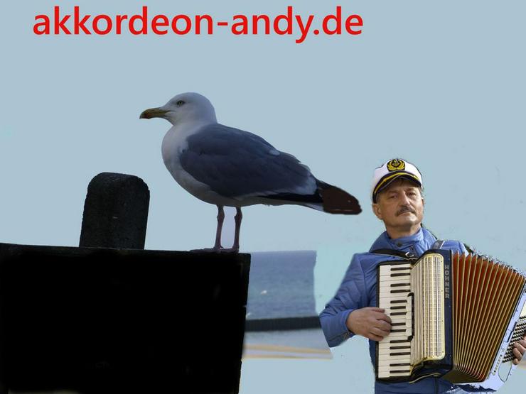 Akkordeonspieler in Versmold, Velbert, Vechta, Verl - Musik, Foto & Kunst - Bild 4