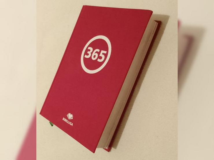 365 - DAS BUCH,
