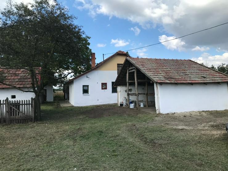 Bild 4: In Ungarn am Pusztaszer ist ein gepflegtes,ruhiges Bauernhaus mit 5755 m2 Grundstück zu verkaufen