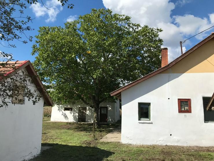 Bild 2: In Ungarn am Pusztaszer ist ein gepflegtes,ruhiges Bauernhaus mit 5755 m2 Grundstück zu verkaufen