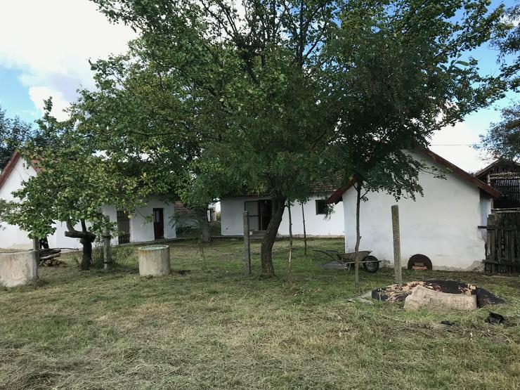 Bild 5: In Ungarn am Pusztaszer ist ein gepflegtes,ruhiges Bauernhaus mit 5755 m2 Grundstück zu verkaufen