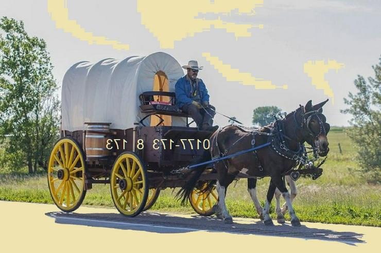 Suche Pferd und Pferde-"Närrin" mit Planwagen oder so...,