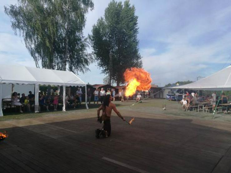 Bild 4: Feuershow für Thüringen Sachsen Bayern mit vielen Extras Hochzeiten