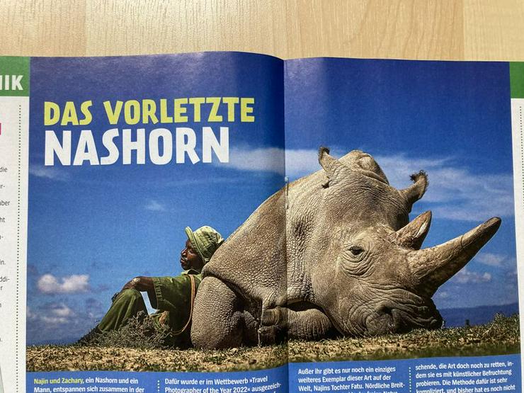 Bild 6: UNGELESEN Kindermagazin „Dein Spiegel“, Nr. 4, ab 8 J.