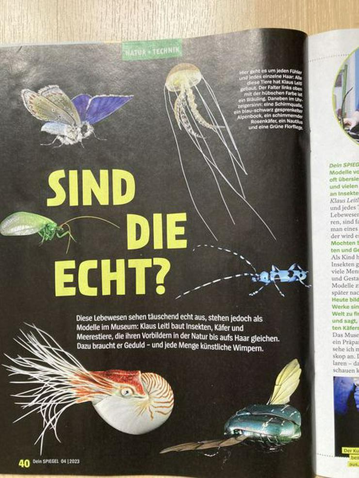 Bild 7: UNGELESEN Kindermagazin „Dein Spiegel“, Nr. 4, ab 8 J.