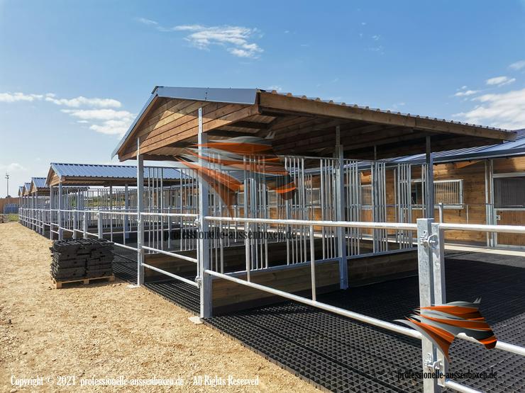 Bild 5: Paddockbau & Pferdezäune - Koppel, Reitplatz, Weide & Metallzäune - Top Pferdestall, Stallbau und Paddock