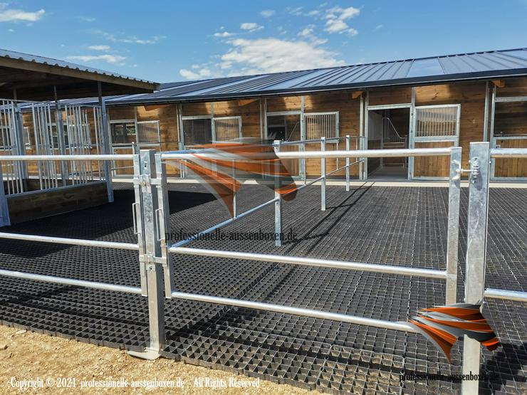 Bild 4: Paddockbau & Pferdezäune - Koppel, Reitplatz, Weide & Metallzäune - Top Pferdestall, Stallbau und Paddock