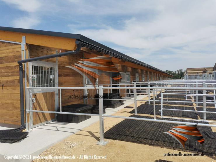 Bild 6: Paddockbau & Pferdezäune - Koppel, Reitplatz, Weide & Metallzäune - Top Pferdestall, Stallbau und Paddock