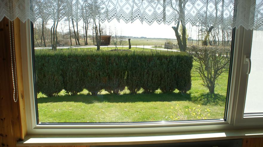 Bild 5: Insel Hiddensee  Ferienhaus Ostsee Urlaub Ort Kloster