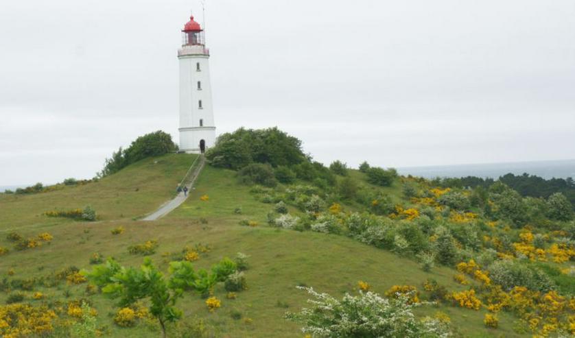 Bild 8: Insel Hiddensee Ostsee Urlaub Ort Kloster