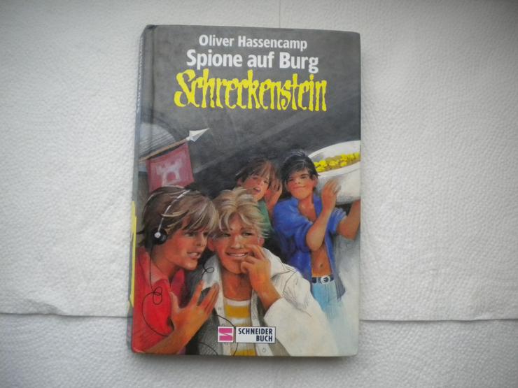 Schreckenstein 12-Spione auf Burg Schreckenstein,Oliver Hassencamp,Schneider,1993