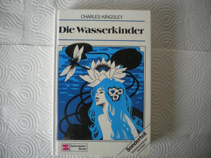 Die Wasserkinder,Charles Kingsley,Schneider Verlag,1984 - Kinder& Jugend - Bild 1