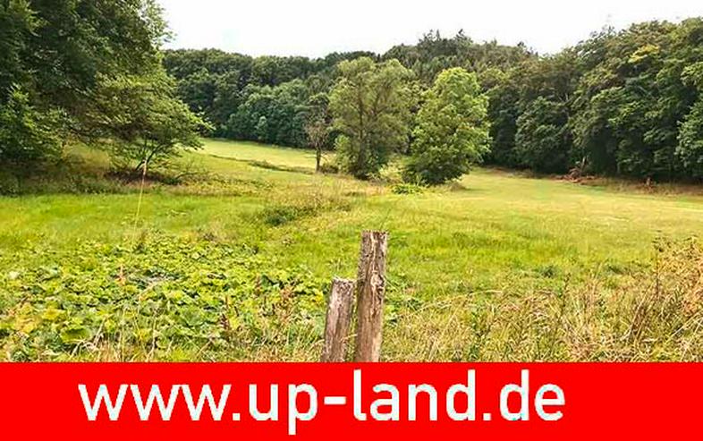 Ländereien zu verkaufen | Naturpark Diemelsee (Nordhessen)