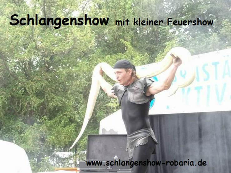 Bild 6: Schlangenshow Sachsen, Bayern, Thüringen  