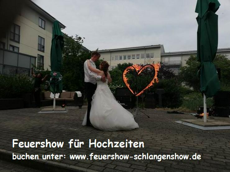 Bild 16: Show Programm für Hochzeit, Geburtstage, Stadtfest, Feuershow Schlangenshow