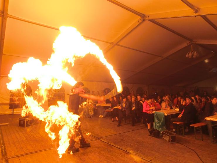 Bild 6: Show Programm für Hochzeit, Geburtstage, Stadtfest, Feuershow Schlangenshow