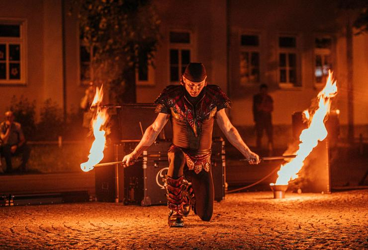 Bild 8: Show Programm für Hochzeit, Geburtstage, Stadtfest, Feuershow Schlangenshow