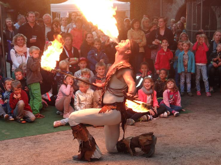 Bild 7: Show Programm für Hochzeit, Geburtstage, Stadtfest, Feuershow Schlangenshow