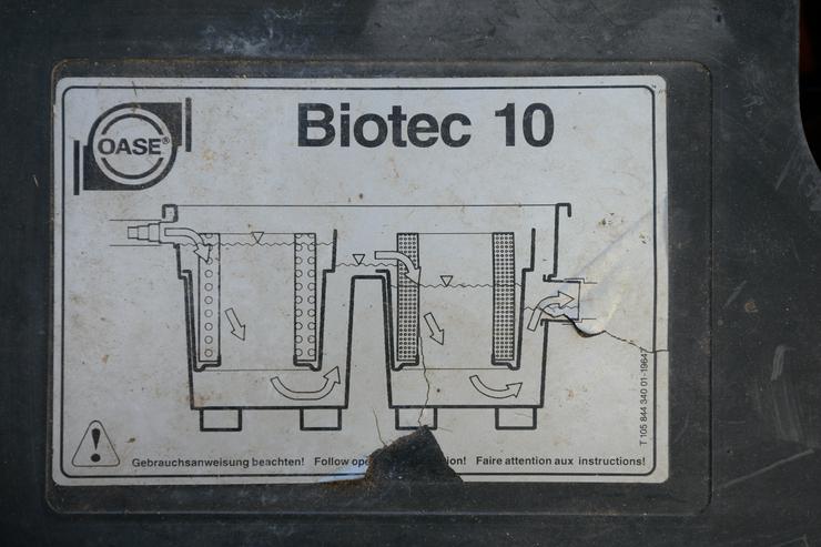 Teichfiltersystem OASE Biotec 10 + OASE Bitron 25 in Aichhalden