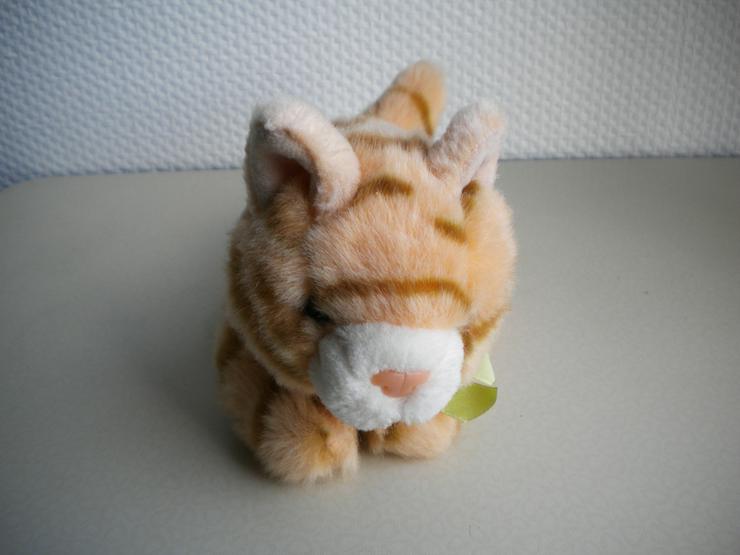 Bild 2: Bob der Bär-Plüsch-Kätzchen,ca. 22 cm