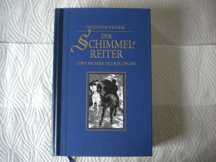 Der Schimmelreiter und andere Erzählungen,Theodor Storm,Das Beste,1996