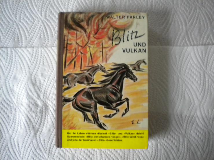 Blitz und Vulkan-Band 4,Walter Farley,Müller Verlag - Kinder& Jugend - Bild 1
