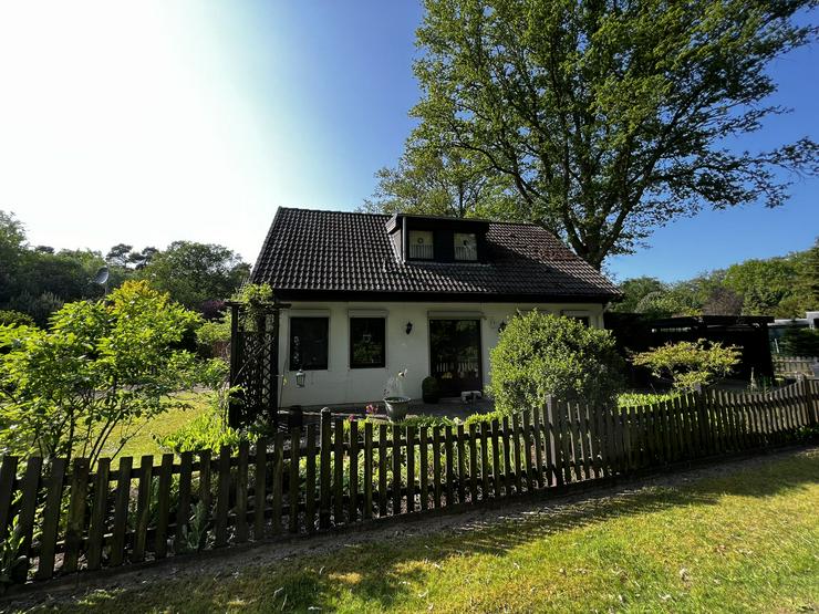 Bild 2: Gartow/Wendland - Wohlfühlhaus in Wald- und Seenähe