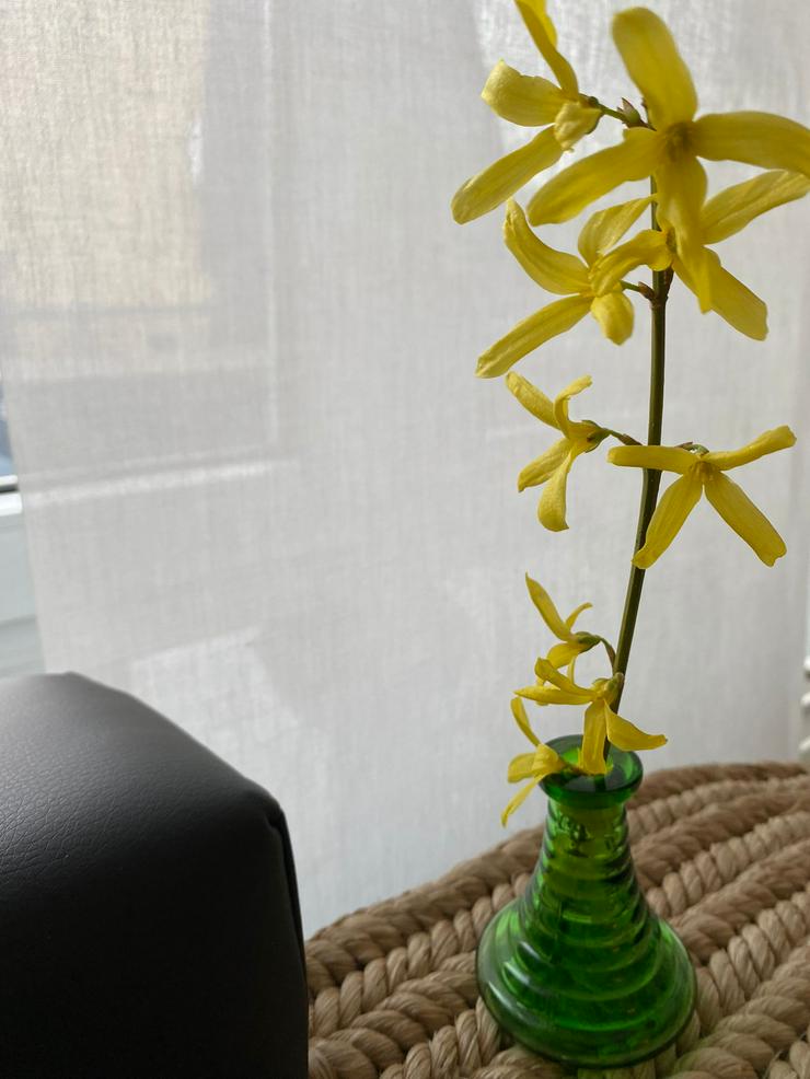 kleine grüne Blumenvase / Kerzenständer (18 Stück) - Vasen & Kunstpflanzen - Bild 3