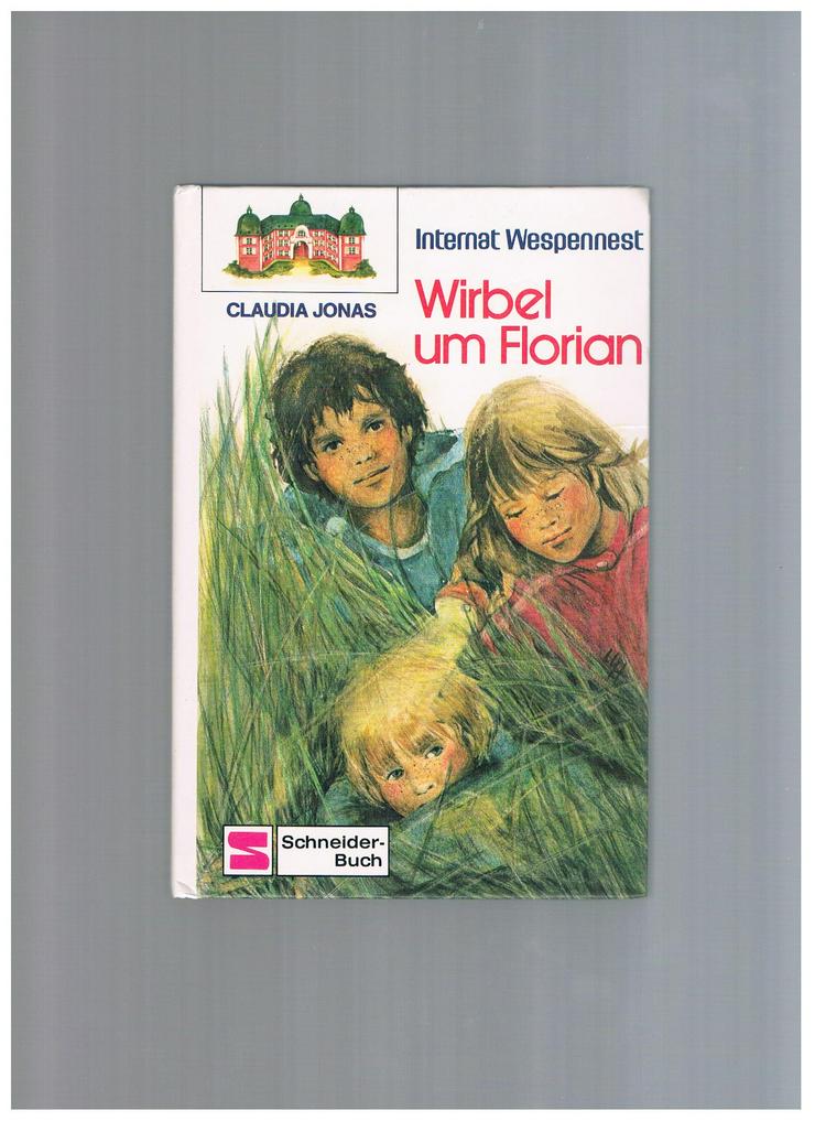 Internat Wespennest-Wirbel um Florian,Claudia Jonas,Schneider Verlag,1980