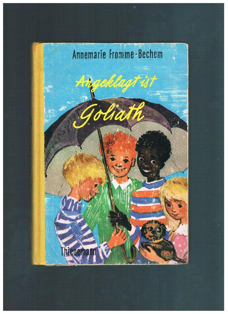 Angeklagt ist Goliath,Annemarie Fromme-Bechem,Thienemann Verlag,1961