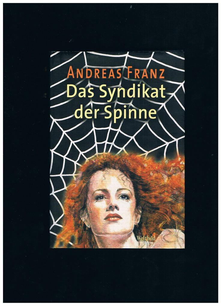 Das Syndikat der Spinne,Andreas Franz,Weltbild,2007