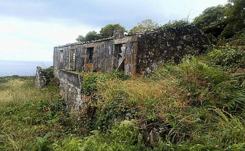 Renovierungsprojekt auf den Azoreninseln - Haus mieten - Bild 4