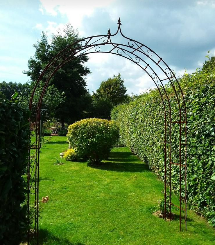 Bild 7: Rosenbogen Holland BIG Lilie Spitze  Arc de Rose Rozenboog Pergola